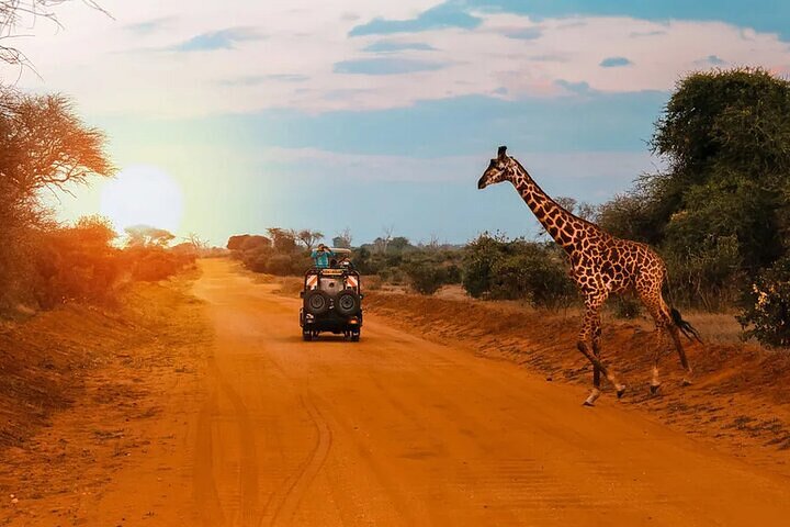 Nairobi National Park sunrise & sunset 2027